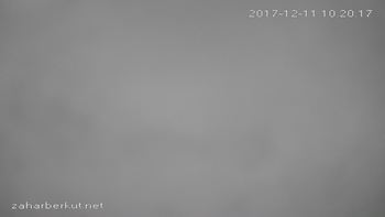 Захар Беркут 11 грудня 2017 року, 2017-12-11 10:00
