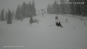 Захар Беркут 16 грудня 2017 року, 2017-12-16 13:00