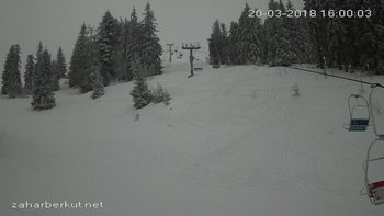 Захар Беркут 20 березня 2018 року, 2018-03-20 16:00