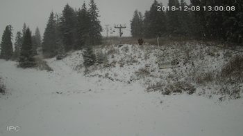 Захар Беркут 8 грудня 2018 року, 2018-12-08 13:00