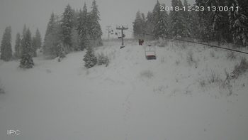 Захар Беркут 23 грудня 2018 року, 2018-12-23 13:00