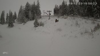 Захар Беркут 23 грудня 2018 року, 2018-12-23 16:00