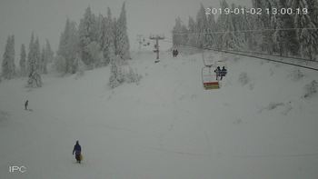 Захар Беркут 2 січня 2019 року, 2019-01-02 13:00
