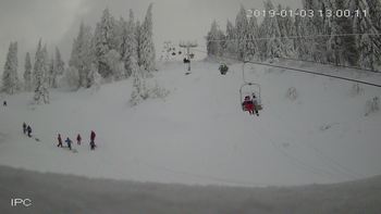 Захар Беркут 3 січня 2019 року, 2019-01-03 13:00