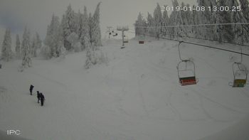 Захар Беркут 8 січня 2019 року, 2019-01-08 13:00