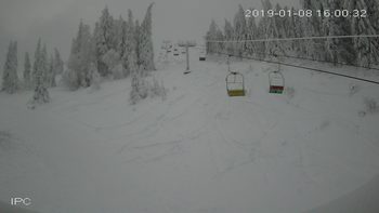 Захар Беркут 8 січня 2019 року, 2019-01-08 16:00