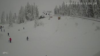 Захар Беркут 10 січня 2019 року, 2019-01-10 13:00