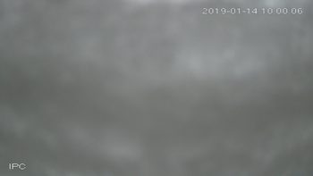 Захар Беркут 14 січня 2019 року, 2019-01-14 10:00