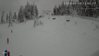 Захар Беркут 15 січня 2019 року, 2019-01-15 13:00