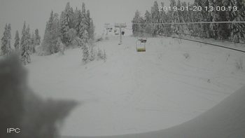 Захар Беркут 20 січня 2019 року, 2019-01-20 13:00