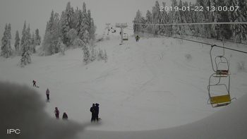 Захар Беркут 22 січня 2019 року, 2019-01-22 13:00