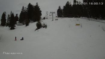 Захар Беркут 1 березня 2019 року, 2019-03-01 16:00