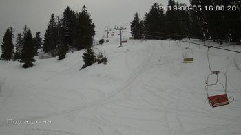 Захар Беркут 5 березня 2019 року, 2019-03-05 16:00