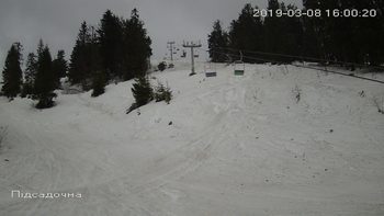 Захар Беркут 8 березня 2019 року, 2019-03-08 16:00