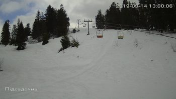 Захар Беркут 14 березня 2019 року, 2019-03-14 13:00