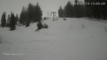 Захар Беркут 15 березня 2019 року, 2019-03-15 10:00
