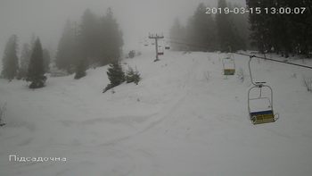 Захар Беркут 15 березня 2019 року, 2019-03-15 13:00