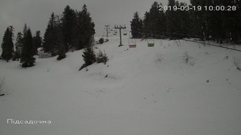 Захар Беркут 19 березня 2019 року, 2019-03-19 10:00