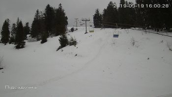 Захар Беркут 19 березня 2019 року, 2019-03-19 16:00