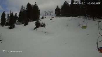 Захар Беркут 20 березня 2019 року, 2019-03-20 16:00