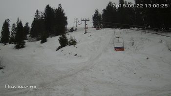 Захар Беркут 22 березня 2019 року, 2019-03-22 13:00