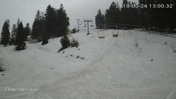 Захар Беркут 24 березня 2019 року, 2019-03-24 13:00