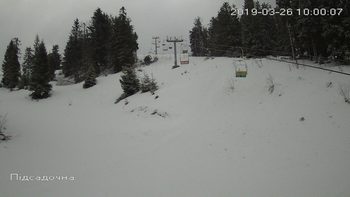 Захар Беркут 26 березня 2019 року, 2019-03-26 10:00