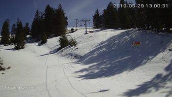 Захар Беркут 29 березня 2019 року, 2019-03-29 13:00