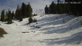 Захар Беркут 1 квітня 2019 року, 2019-04-01 16:00