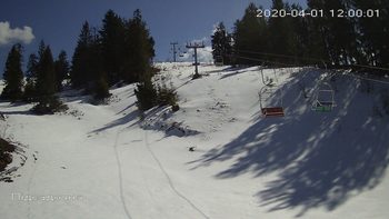 Захар Беркут 1 квітня 2020 року, 2020-04-01 13:00