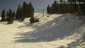 Захар Беркут 11 березня 2021 року, 2021-03-11 13:00