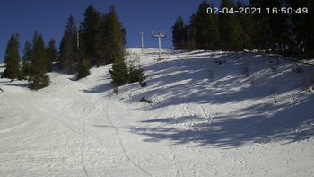 Захар Беркут 2 квітня 2021 року, 2021-04-02 16:00