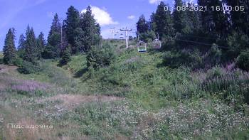 Захар Беркут 3 серпня 2021 року, 2021-08-03 16:00