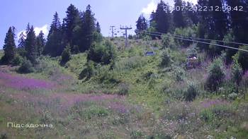 Захар Беркут 20 липня 2022 року, 2022-07-20 13:00