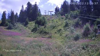 Захар Беркут 3 серпня 2022 року, 2022-08-03 13:00