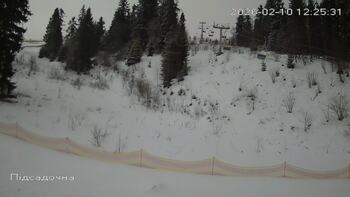 Zachar Berkut 10 luty 2026 rok, 2026-02-10 13:00