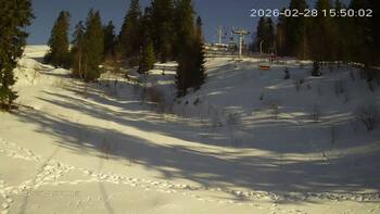 Zachar Berkut 28 luty 2026 rok, 2026-02-28 16:00