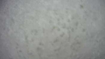Водяники 18 грудня 2017 року, 2017-12-18 10:00
