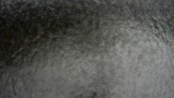 Водяники 12 січня 2018 року, 2018-01-12 10:00