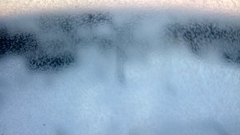 Водяники 29 листопада 2018 року, 2018-11-29 16:00