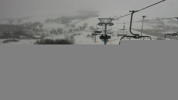 Водяники 29 січня 2019 року, 2019-01-29 10:00