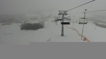 Водяники 29 січня 2019 року, 2019-01-29 13:00