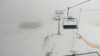 Водяники 1 лютого 2019 року, 2019-02-01 13:00
