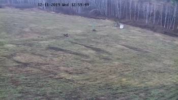 Харків 11 грудня 2019 року, 2019-12-11 13:00