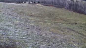 Харків 13 грудня 2019 року, 2019-12-13 10:00
