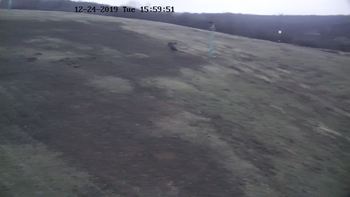 Харків 24 грудня 2019 року, 2019-12-24 16:00