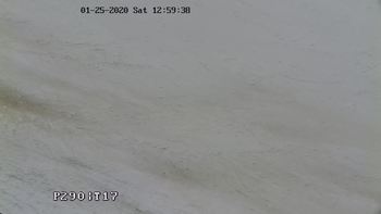 Харків 25 січня 2020 року, 2020-01-25 13:00