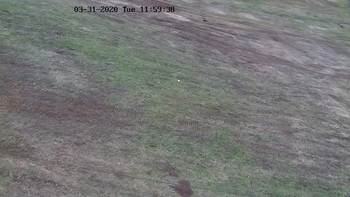 Харків 31 березня 2020 року, 2020-03-31 13:00