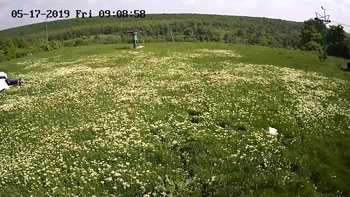 Харків 17 травня 2019 року, 2019-05-17 10:00