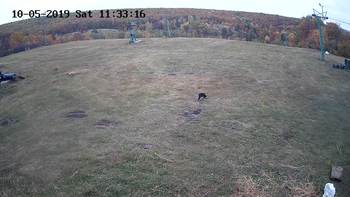 Харків 5 жовтня 2019 року, 2019-10-05 13:00